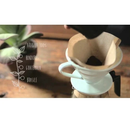 Café En Grains Biondo (torréfaction Filtre) 100% Arabica - 500g - Goppion Caffe – Image 2